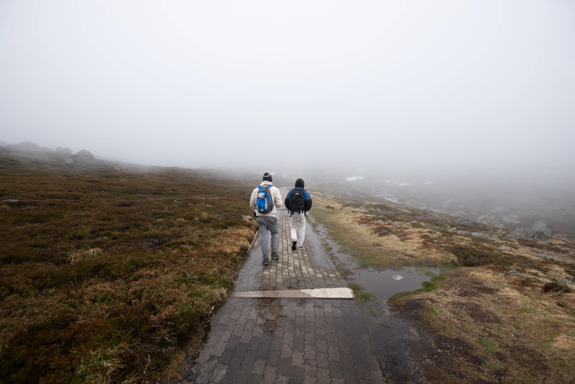walking into the mist